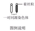 图片_x0020_100006