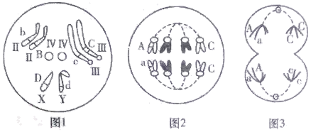 图片_x0020_100001