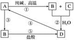图片_x0020_100007