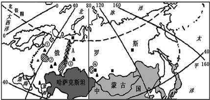 图片_x0020_100013