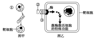 图片_x0020_841532498