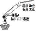 图片_x0020_100015