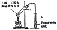 图片_x0020_100031