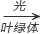 图片_x0020_100005