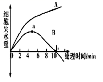 图片_x0020_100012
