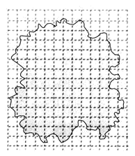 图片_x0020_100013