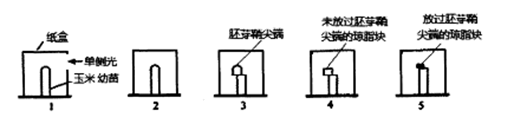 图片_x0020_100011