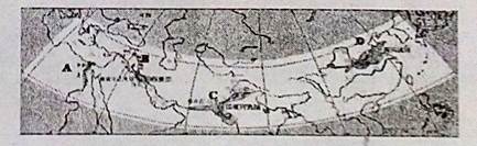 图片_x0020_100004