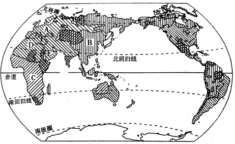 图片_x0020_100027