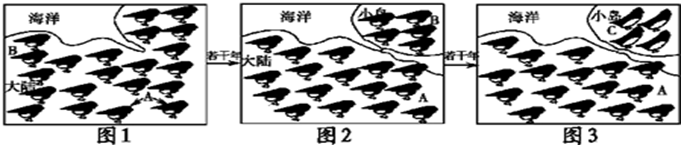 图片_x0020_100009