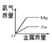 图片_x0020_100005