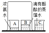 图片_x0020_164053644