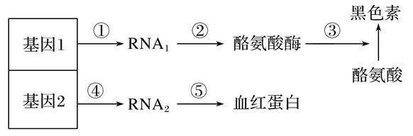 图片_x0020_100011