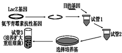 图片_x0020_100008