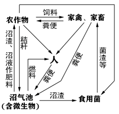 图片_x0020_1467383818