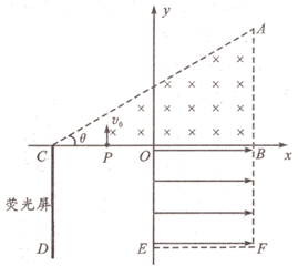 图片_x0020_100023