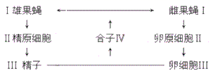图片_x0020_100011