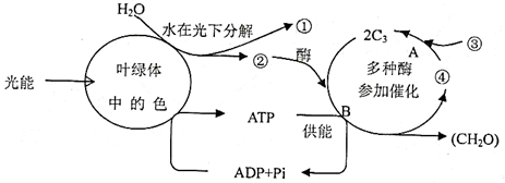 图片_x0020_100013