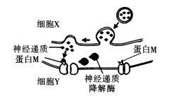 图片_x0020_100011