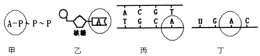 图片_x0020_100001