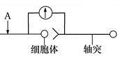 图片_x0020_526174699