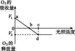 图片_x0020_100002
