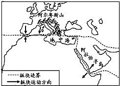 图片_x0020_790889277
