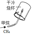 图片_x0020_934137710