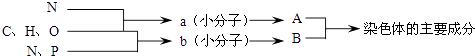 _x0000_i1026
