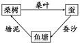 图片_x0020_100001