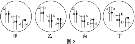 图片_x0020_100002