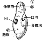 图片_x0020_100017