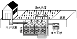 图片_x0020_100010