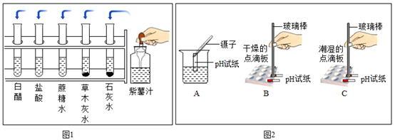 图片_x0020_1238373855