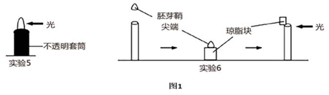 图片_x0020_100011