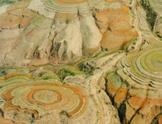图片_x0020_407609940