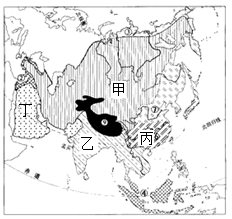 图片_x0020_100001