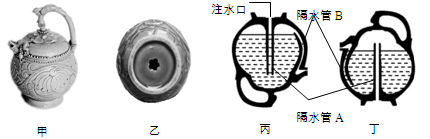 图片_x0020_1610109530