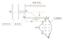图片_x0020_100025