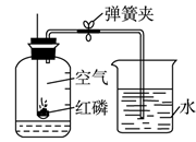 图片_x0020_22729576