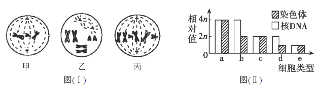 图片_x0020_100004