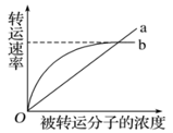 图片_x0020_100018