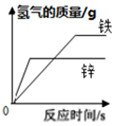 图片_x0020_100013