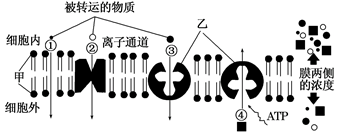 图片_x0020_100002