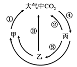 图片_x0020_1357488611