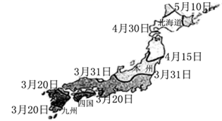 图片_x0020_100002