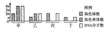 图片_x0020_1609619853