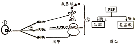 图片_x0020_508908576