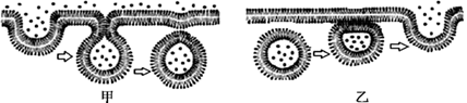 图片_x0020_100004