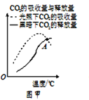 图片_x0020_987281616